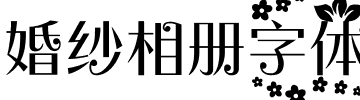 婚纱相册字体