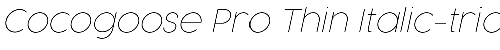 Cocogoose Pro Thin Italic-trial